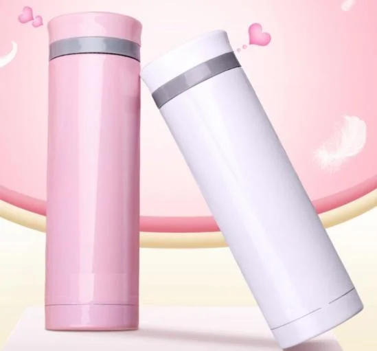 500ml Double Wall Portable Vacuum Flask